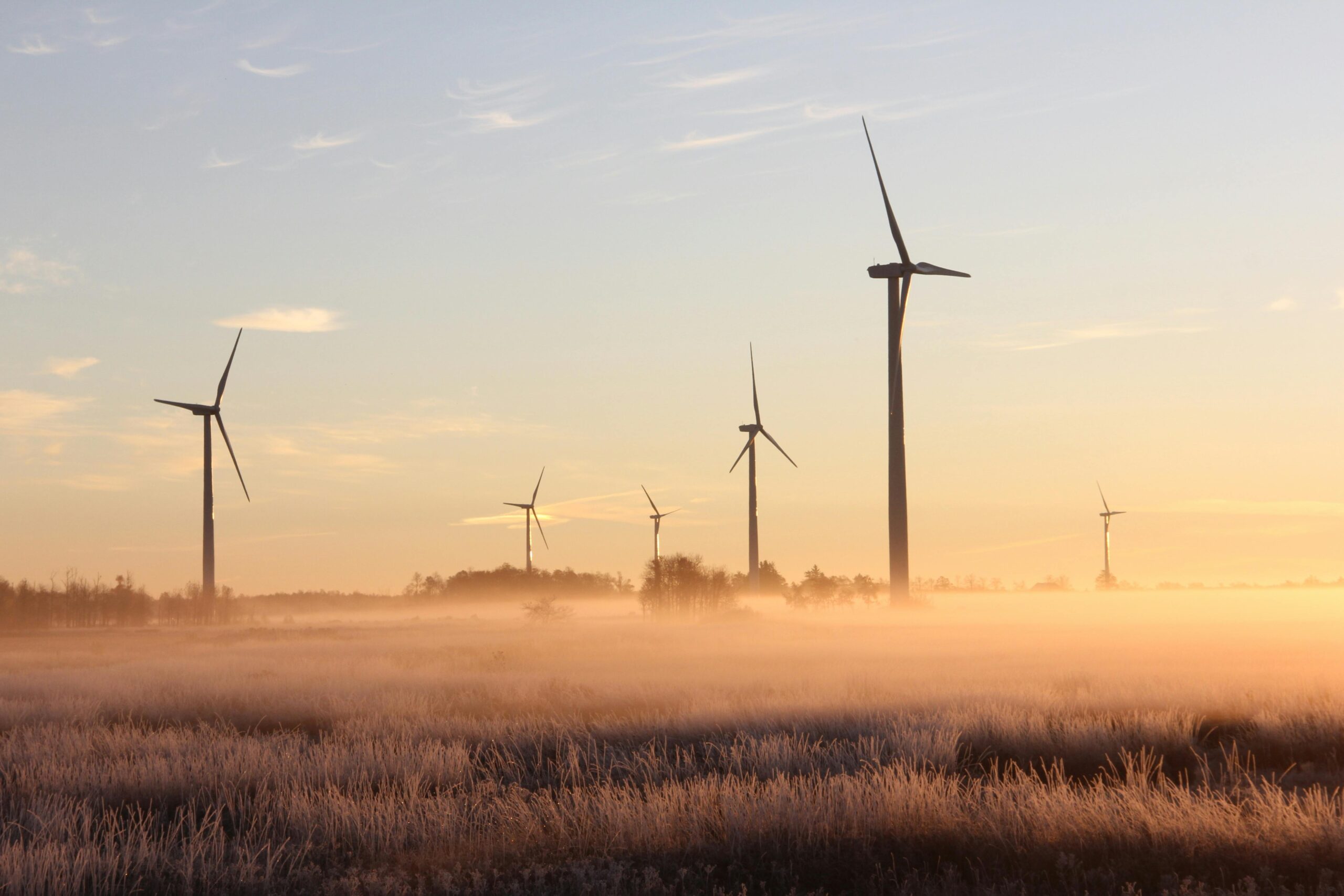Shaping Sustainability in Fashion and Design, One Partnership at a Time