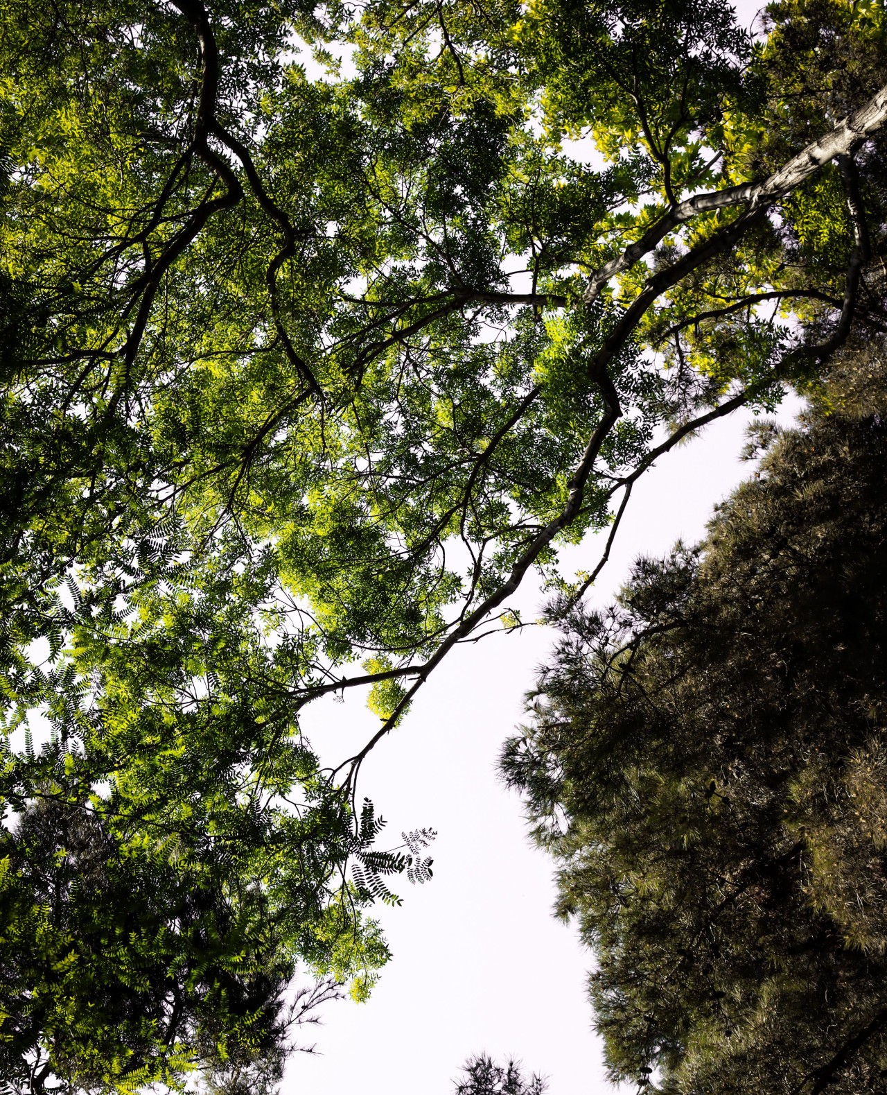 Why Responsible Design Is More Than a Carbon Number